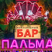ПАЛЬМА