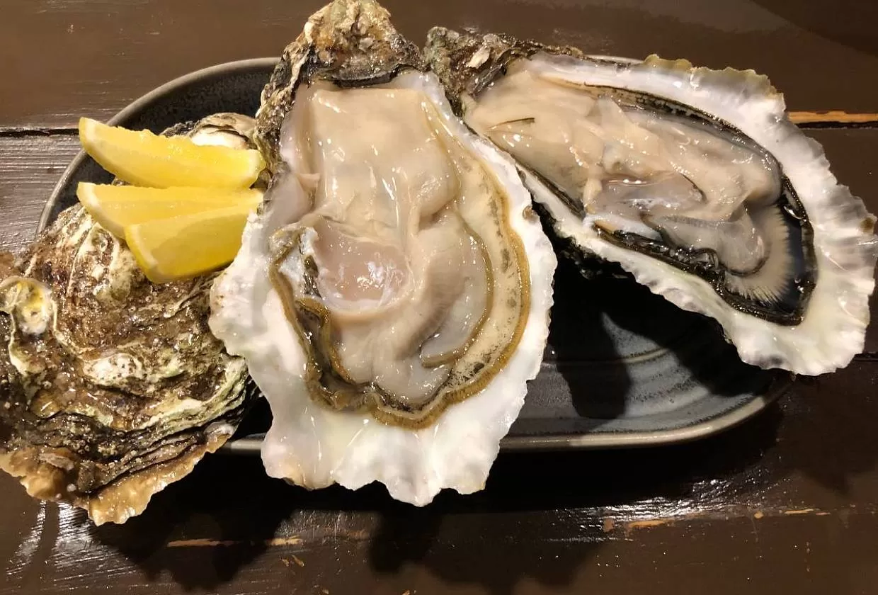 OYSTERS