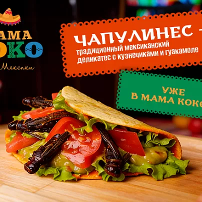 МАМА КОКО | "Чапулинес" 